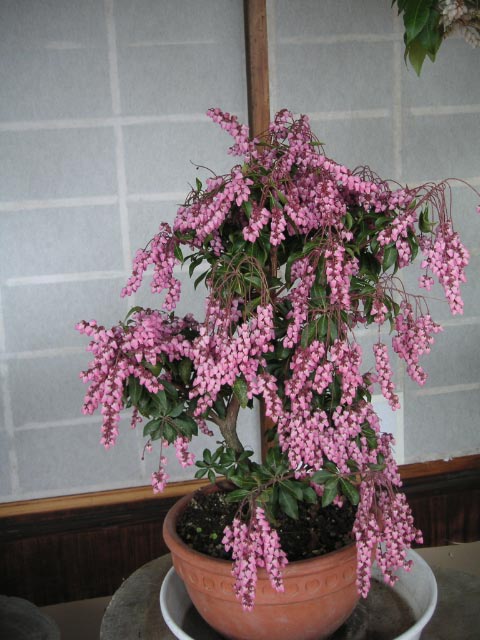 e0023183_16212994.jpg