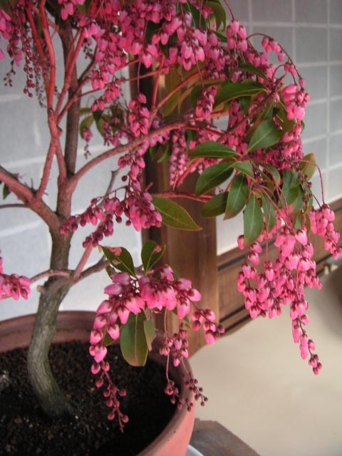 e0023183_16215872.jpg