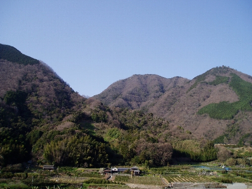 f0003283_17233070.jpg