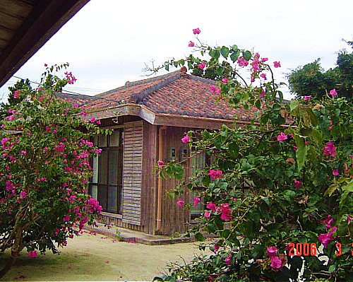 a0018688_21404260.jpg
