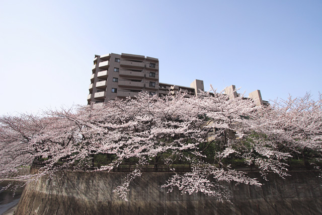 b0067789_2275165.jpg