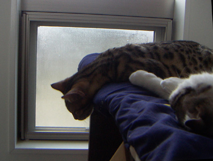 c0011300_834571.jpg