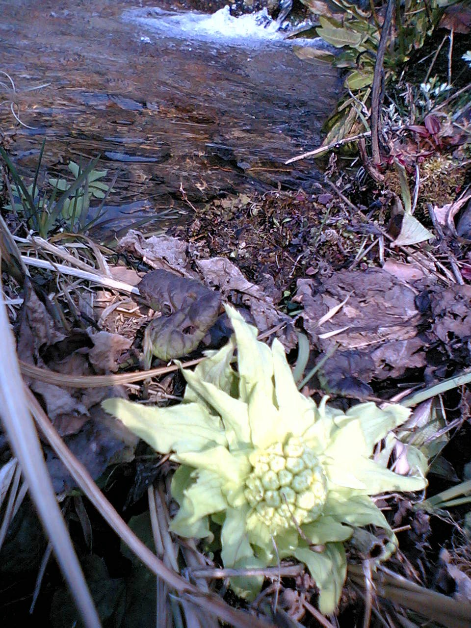 f0083400_13481051.jpg