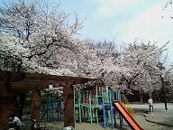 c0011801_832765.jpg