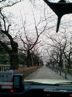 c0011801_834782.jpg
