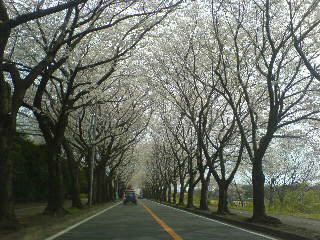 f0052603_2116555.jpg
