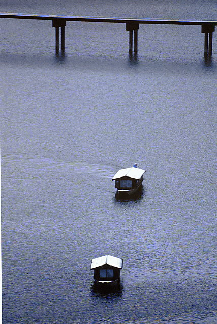 a0050405_6203694.jpg