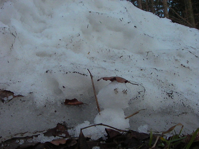 f0038407_844677.jpg