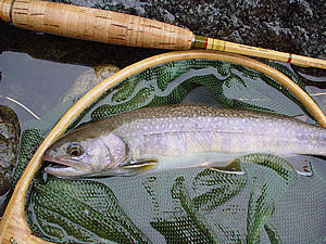 f0021008_12412327.jpg