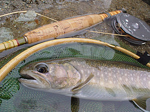 f0021008_12441671.jpg