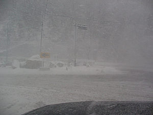 f0021008_12465678.jpg