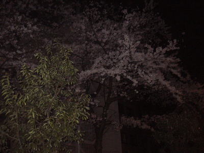 e0047610_13135199.jpg