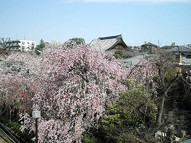 a0022014_2334653.jpg