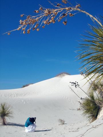 d0063314_2471555.jpg
