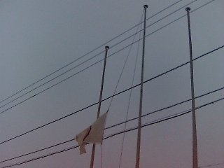 e0064128_23421043.jpg