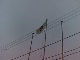 e0064128_2342470.jpg