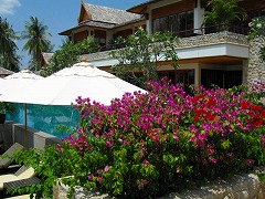 b0010946_1223744.jpg