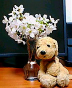c0046447_018260.jpg