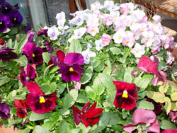 f0075847_15312440.jpg