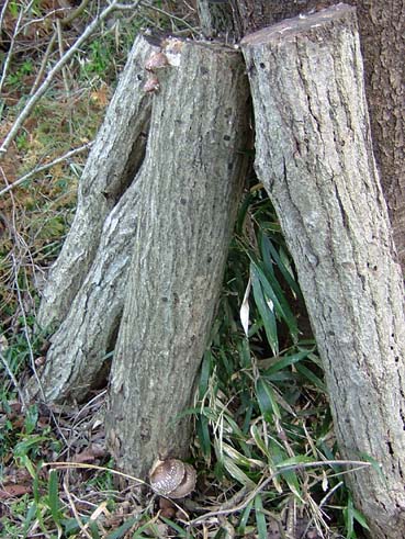 f0000148_140457.jpg