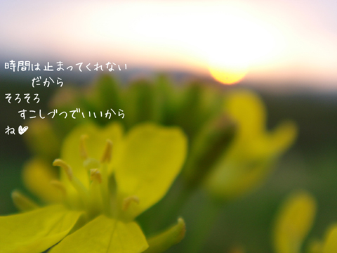 a0024250_22423637.jpg