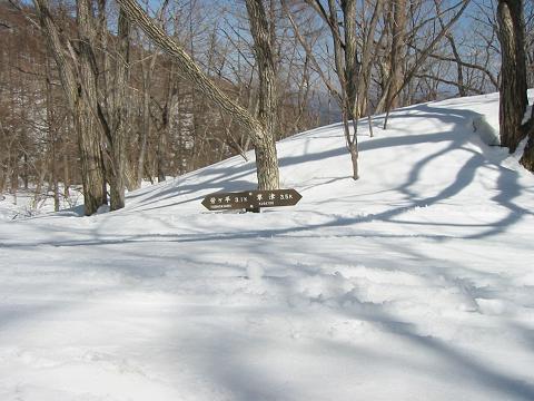 a0022655_7592293.jpg