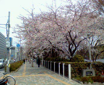 a0044456_12341335.jpg