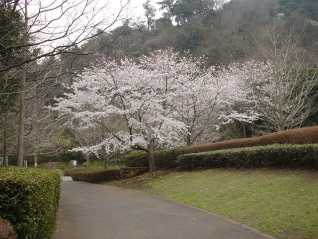 f0034156_21152539.jpg