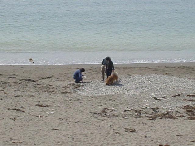 f0034156_2137462.jpg