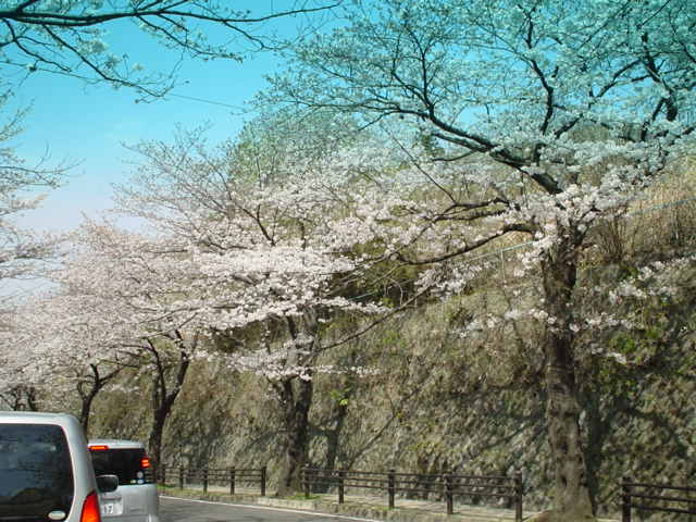 f0034156_2143638.jpg