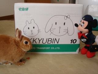 c0032257_12144697.jpg