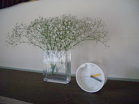 c0051759_18171343.jpg