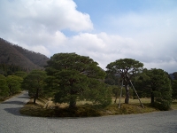f0031863_16485456.jpg