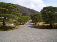 f0031863_16491094.jpg