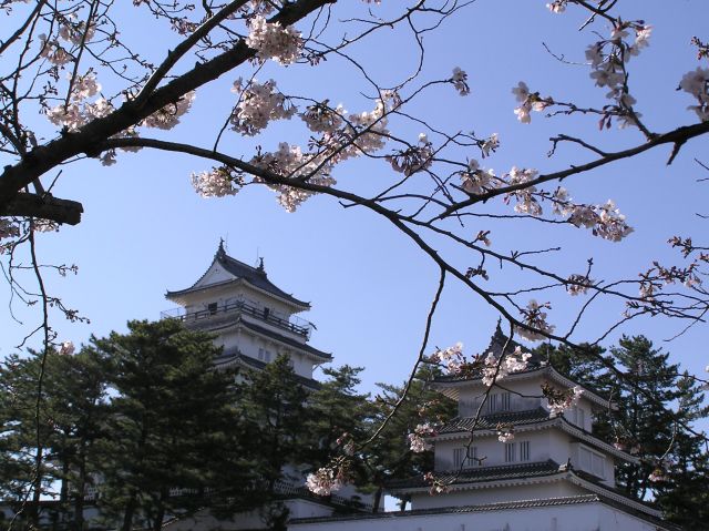 c0042869_17412612.jpg