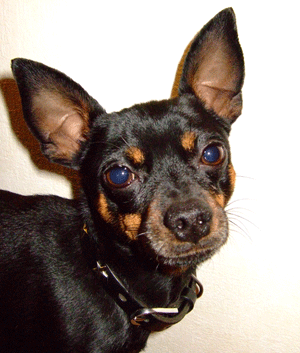 c0012571_10353932.gif