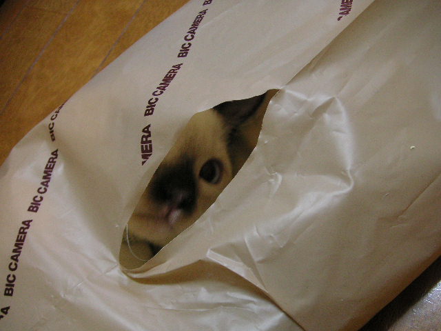 e0007273_12165869.jpg