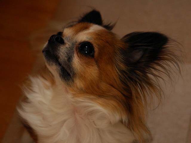 a0016775_21585371.jpg