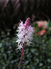 a0035678_21565.jpg