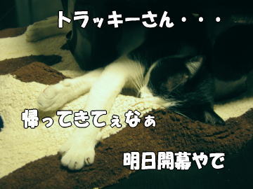 b0041182_832541.jpg