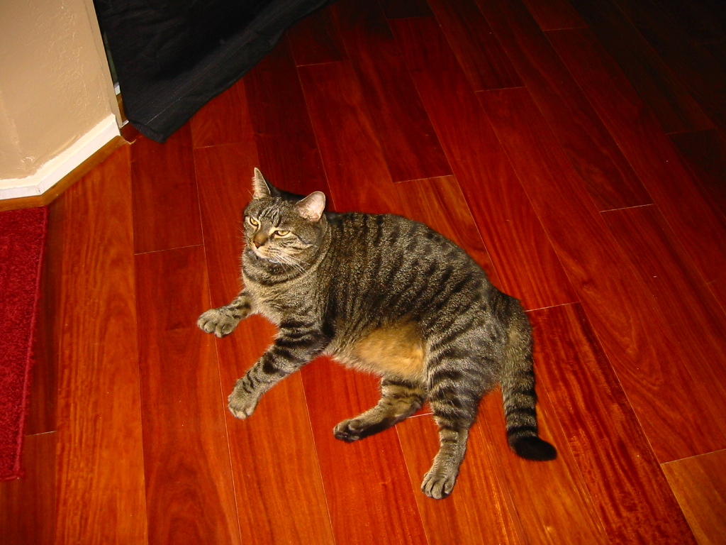 f0068883_1541126.jpg