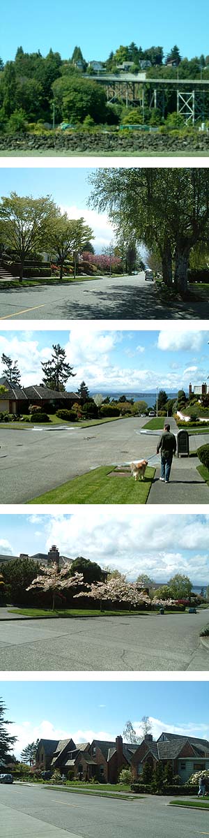 f0022388_1744281.jpg