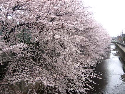c0004193_2222089.jpg