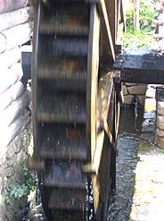 c0004193_223222.jpg