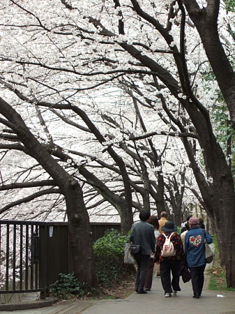 c0044199_1846372.jpg