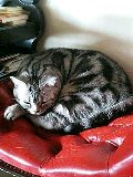 c0027700_1871332.jpg