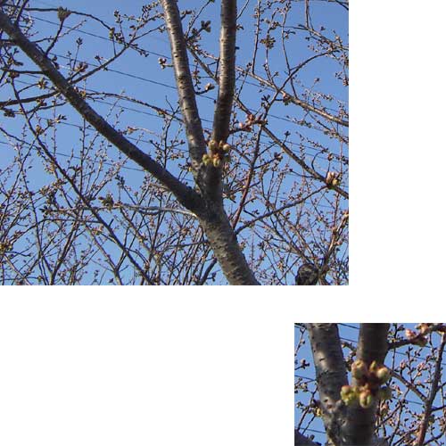 e0018604_16554083.jpg
