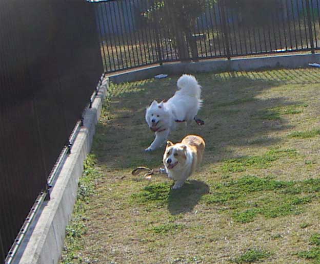 e0018604_1713866.jpg