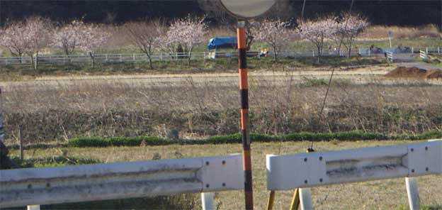 e0018604_1764993.jpg