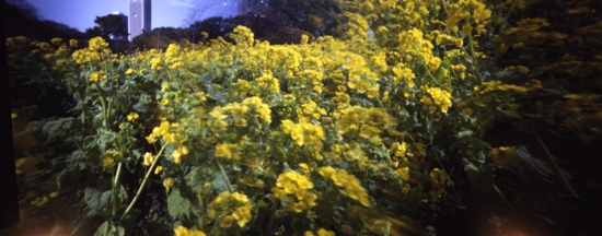 c0016712_16131131.jpg